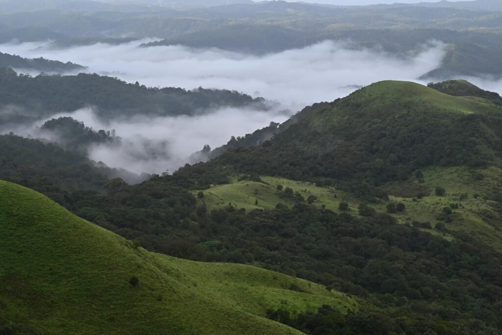 Explore the lush, mist-covered hills of Ooty, Tamil Nadu, India.