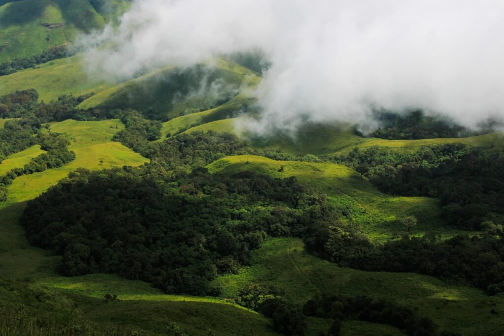 A scenic view of green hills covered with fog, creating a peaceful countryside setting.